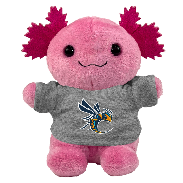 Cedarville University Campus Store Mascot Factory Stuffed Animal