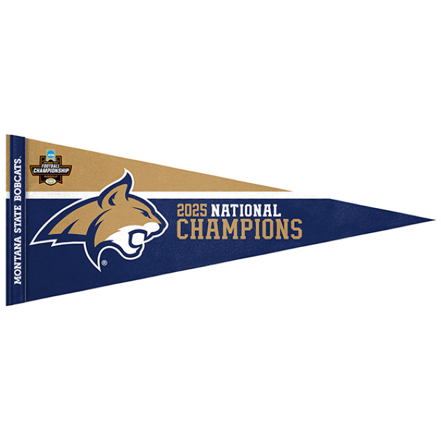 Evergreen Las Vegas Raiders Pennant 9 In. X 23 In. Plug-in LED Lighted Sign 8led3822pen
