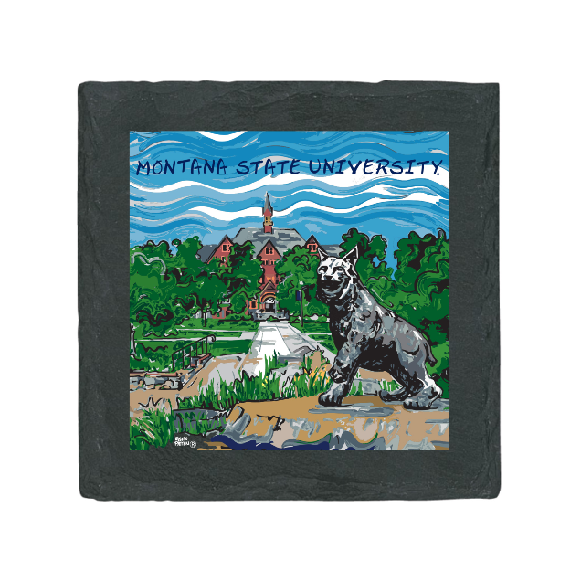MSU Stone Coaster 4 Pack