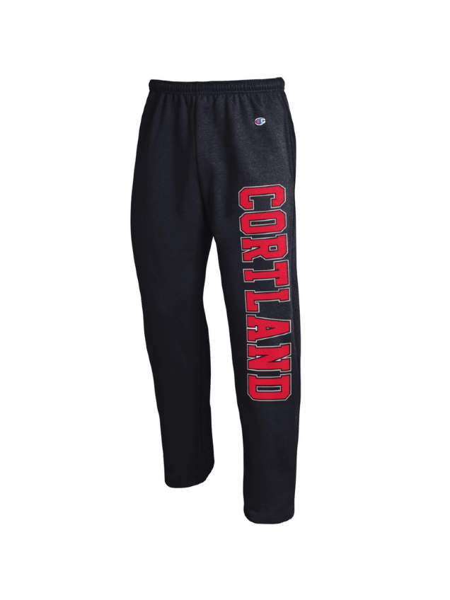 On sale Champion Undefeated sweatpants